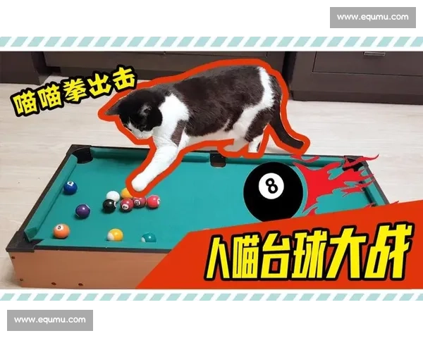 台球比赛中心理调控技巧与专注力提升策略解析